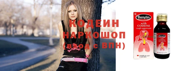 ПСИЛОЦИБИНОВЫЕ ГРИБЫ Алзамай