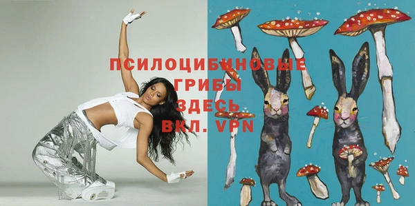ECSTASY Алексеевка