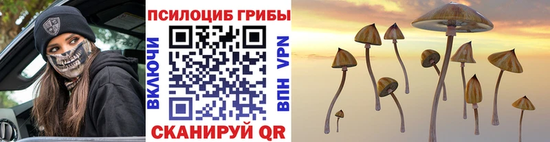 Галлюциногенные грибы Psilocybe  наркотики  Жуков 